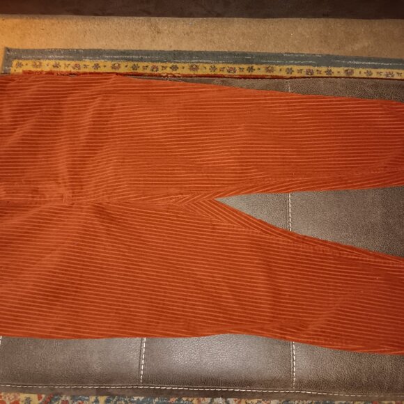 INDIGO REIN PLUS SIZE 18 WOMEN'S CORDUROY PANTS - Picture 3 of 4